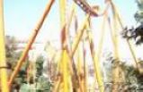 Six Flags Magic Mountain Tour
